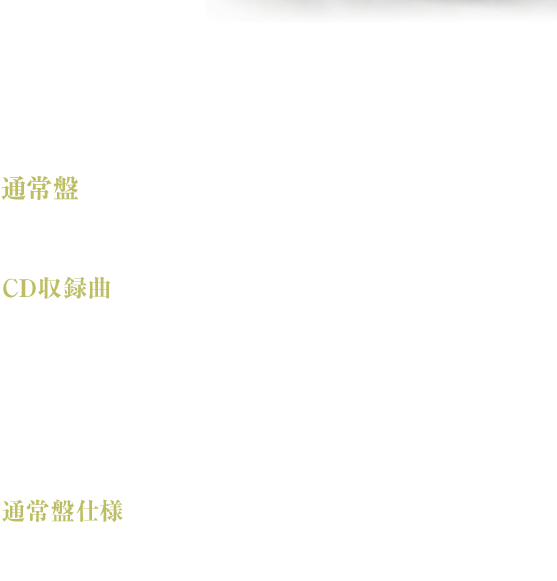 鏡花水月　The SHIGOTONIN （ジャニーズ・エンタテイメント）通常盤 JECN-0183　￥1,028（税込）　CD（全4曲）CD収録曲　M1:鏡花水月　M2:涙枯れるまで　M3:鏡花水月（オリジナル・カラオケ）　M4:涙枯れるまで（オリジナル・カラオケ）通常盤仕様　2面4Pジャケット