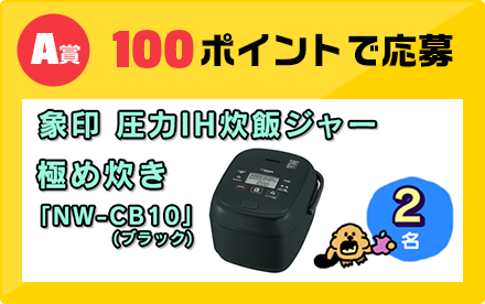 A賞 100ポイントで応募